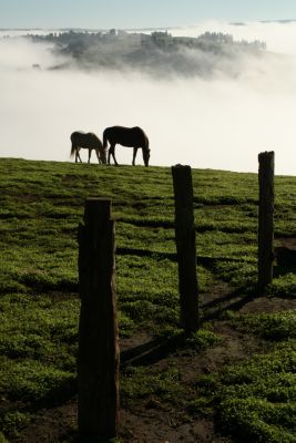 balingup-heights_1118