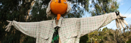 Orange scarecrow