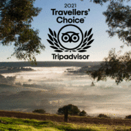 Tripadvisor – 2021 Travellers’ Choice